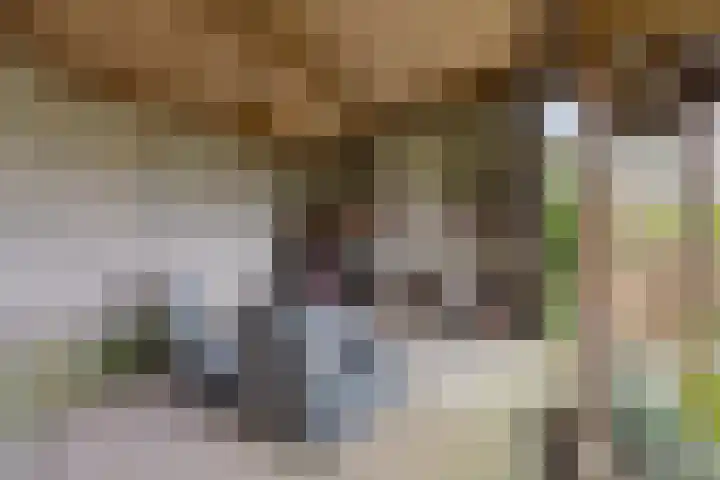 Millsebaan 65 Uden thumbnail 48