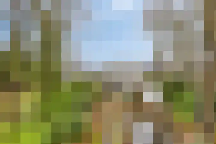 Millsebaan 65 Uden thumbnail 50
