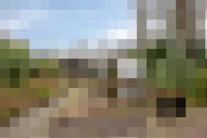 Millsebaan 65 Uden thumbnail 51
