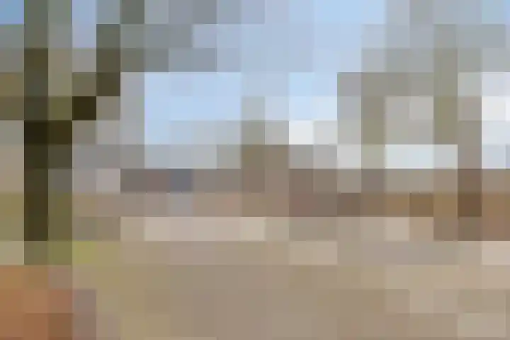 Millsebaan 65 Uden thumbnail 54