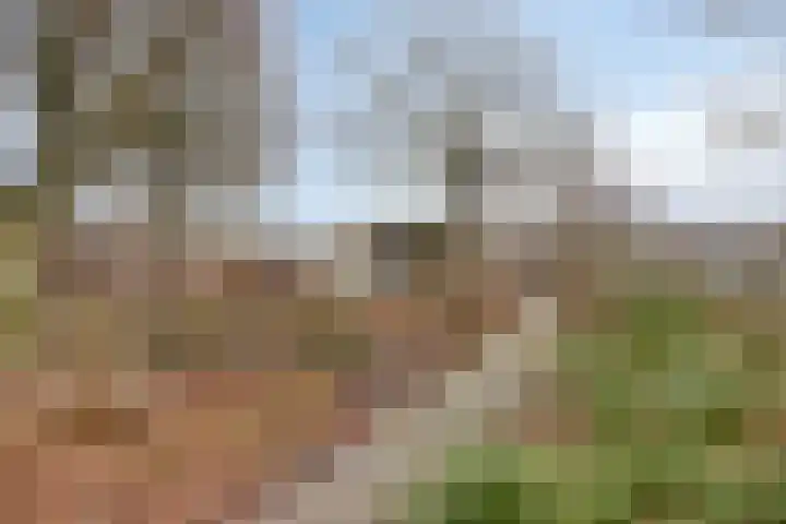 Millsebaan 65 Uden thumbnail 55