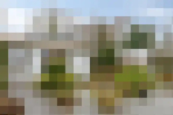 Millsebaan 65 Uden thumbnail 57