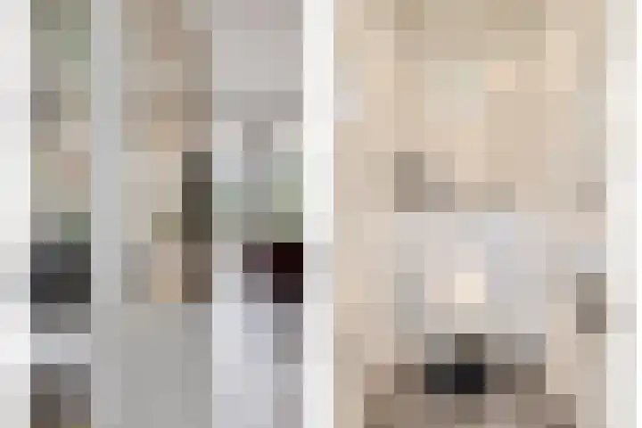 Millsebaan 65 Uden thumbnail 6