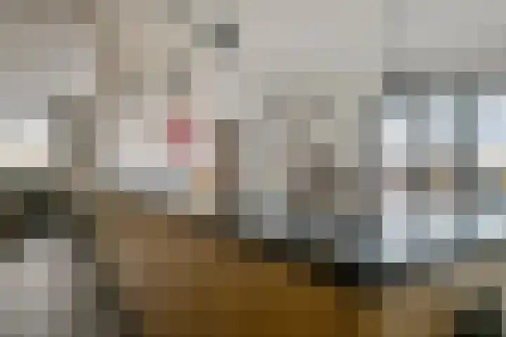 Milschot 47 a De Mortel thumbnail 18