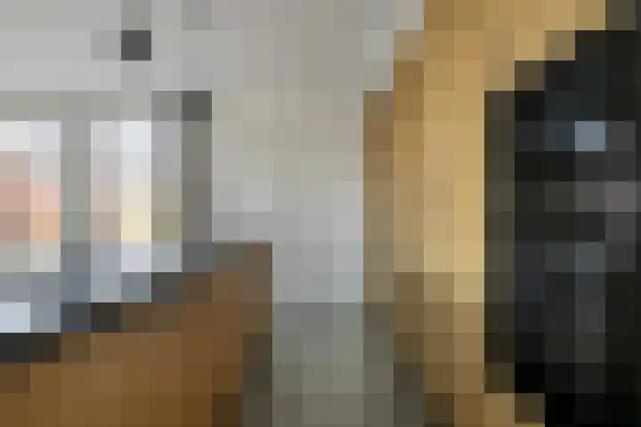 Milschot 47 a De Mortel thumbnail 20