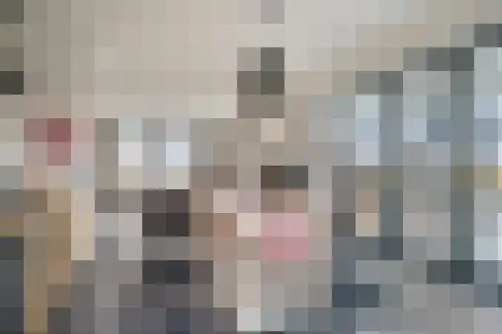 Milschot 47 a De Mortel thumbnail 22