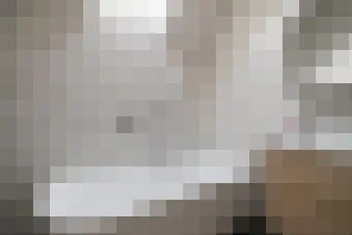 Milschot 47 a De Mortel thumbnail 33