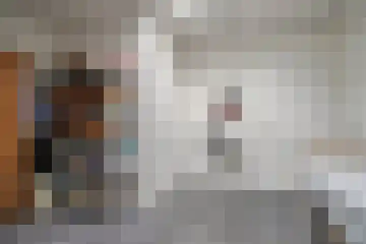 Milschot 47 a De Mortel thumbnail 36