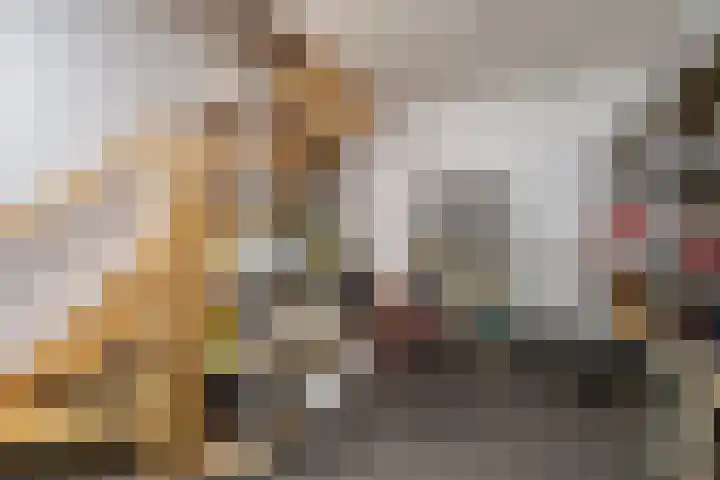 Milschot 47 a De Mortel thumbnail 37