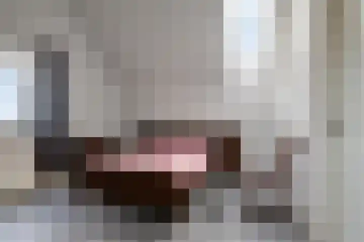 Milschot 47 a De Mortel thumbnail 4