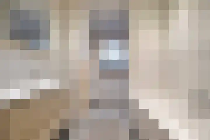 Milschot 47 a De Mortel thumbnail 45