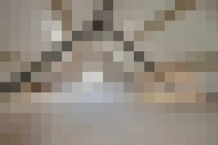 Milschot 47 a De Mortel thumbnail 58