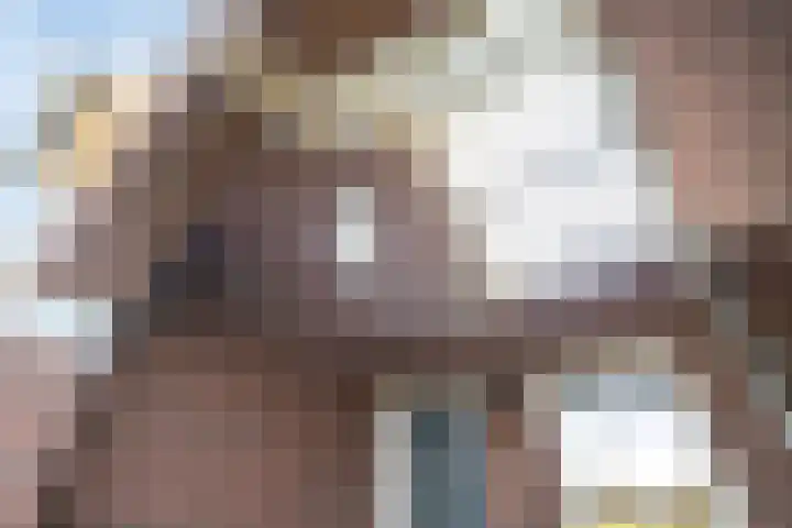 Milschot 47 a De Mortel thumbnail 7