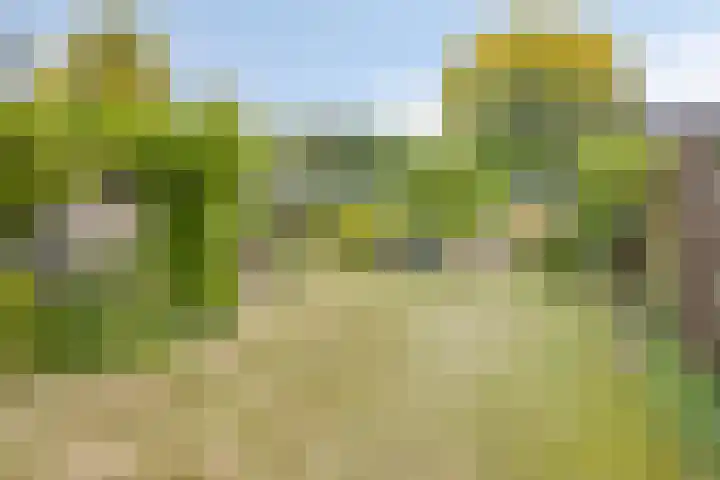 Mimosaweg 8 Zelhem thumbnail 20