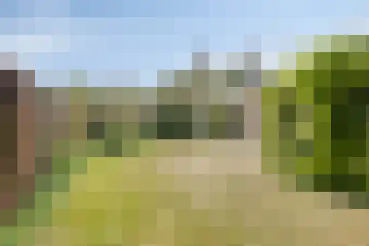Mimosaweg 8 Zelhem thumbnail 21