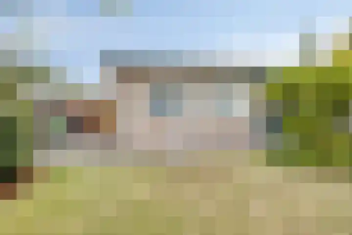 Mimosaweg 8 Zelhem thumbnail 22