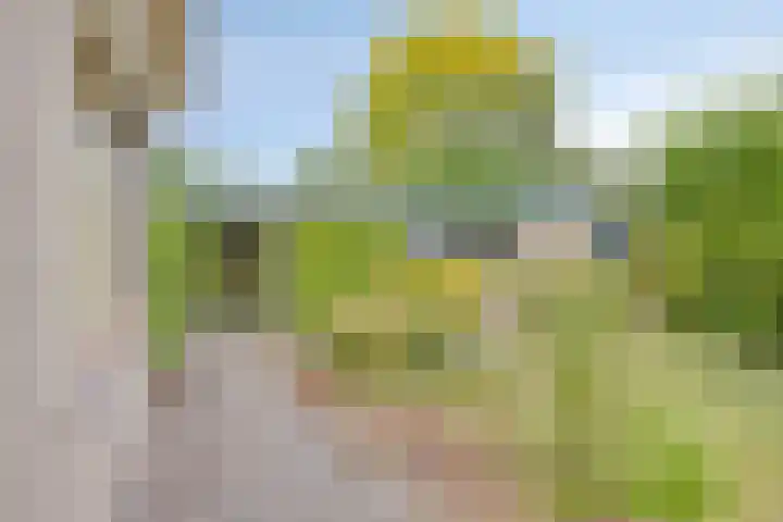Mimosaweg 8 Zelhem thumbnail 23