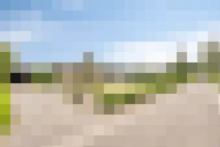 Mimosaweg 8 Zelhem thumbnail 26