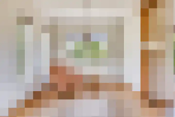 Mimosaweg 8 Zelhem thumbnail 9