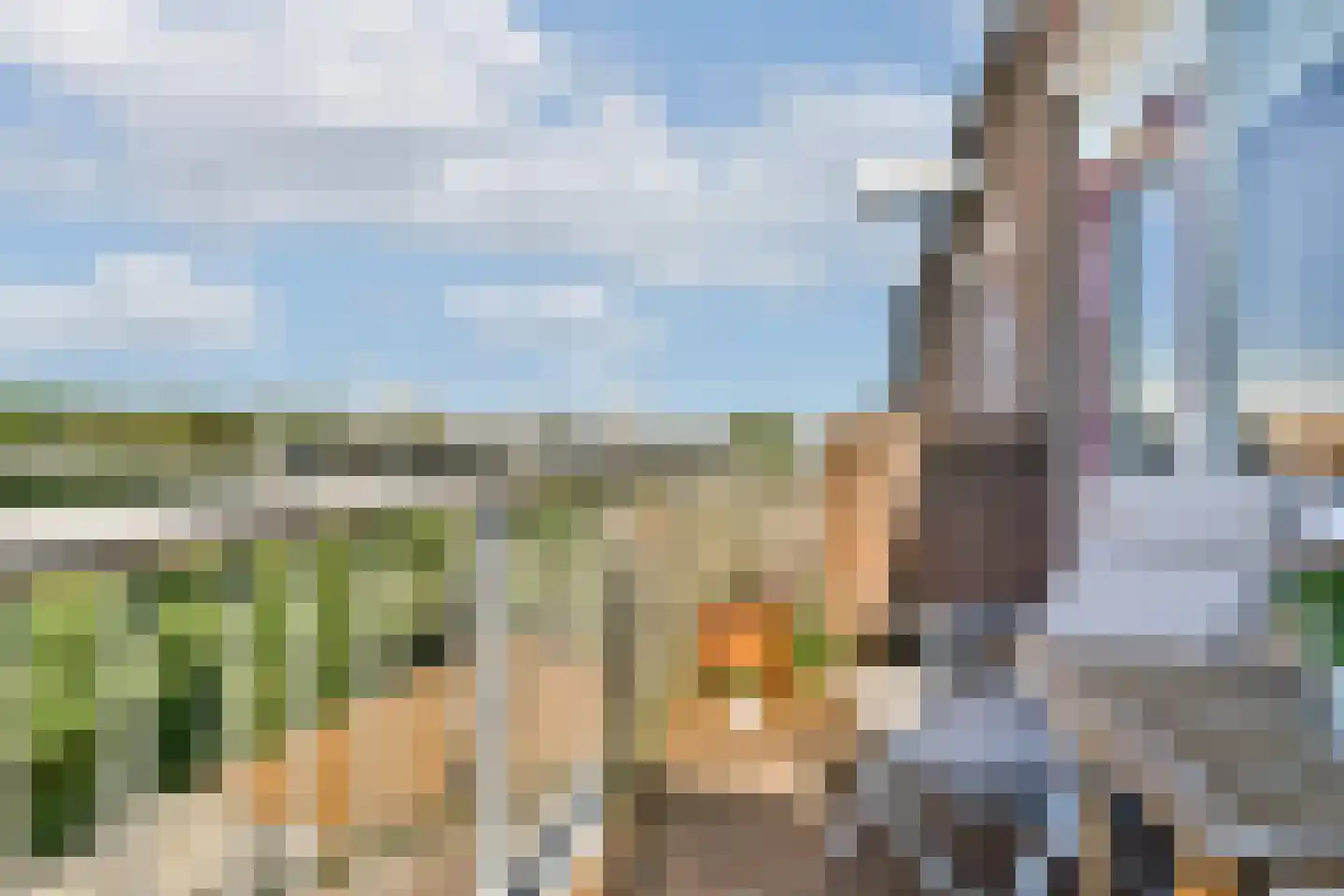 Minahassastraat 8 C Amsterdam thumbnail 14