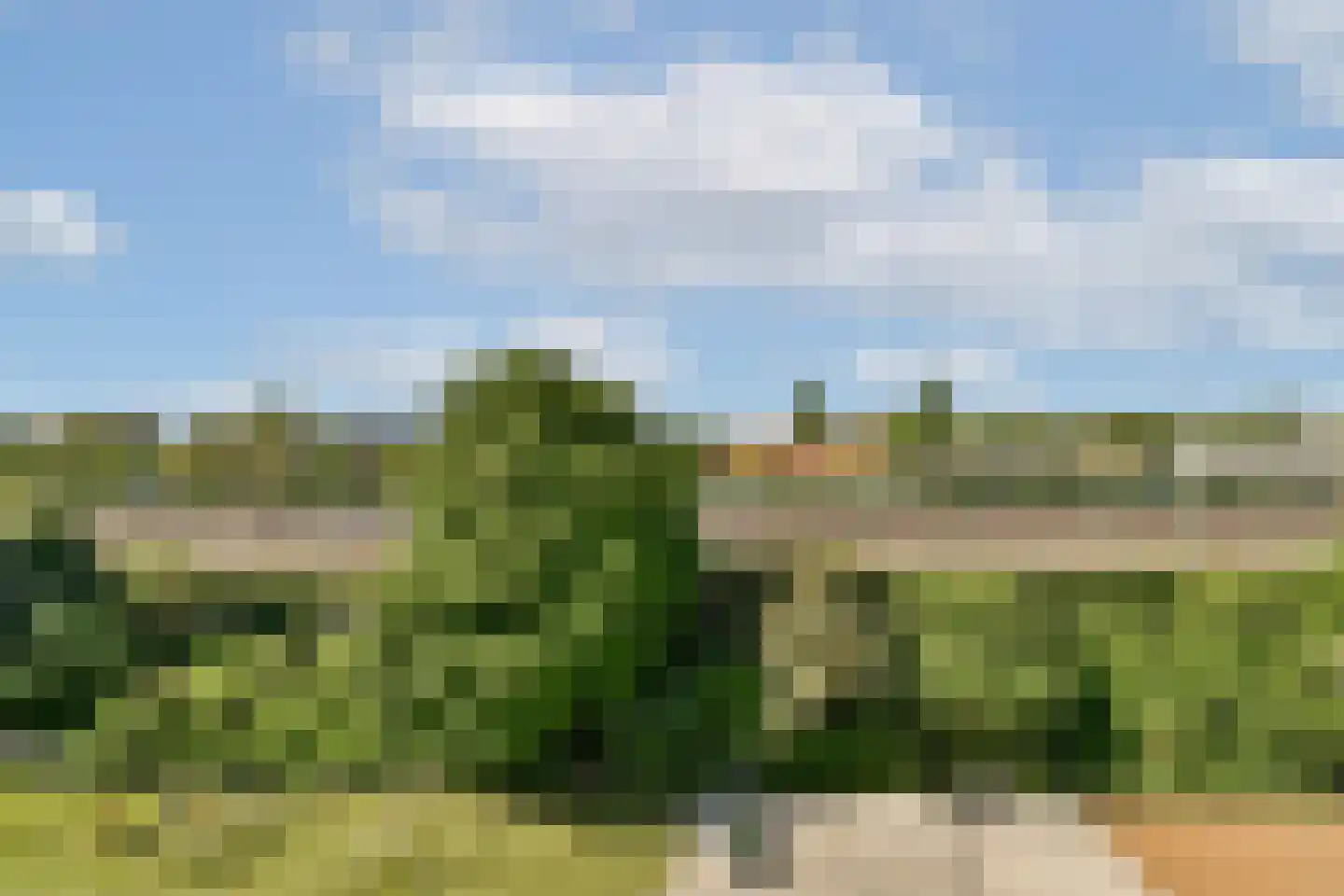 Minahassastraat 8 C Amsterdam thumbnail 15