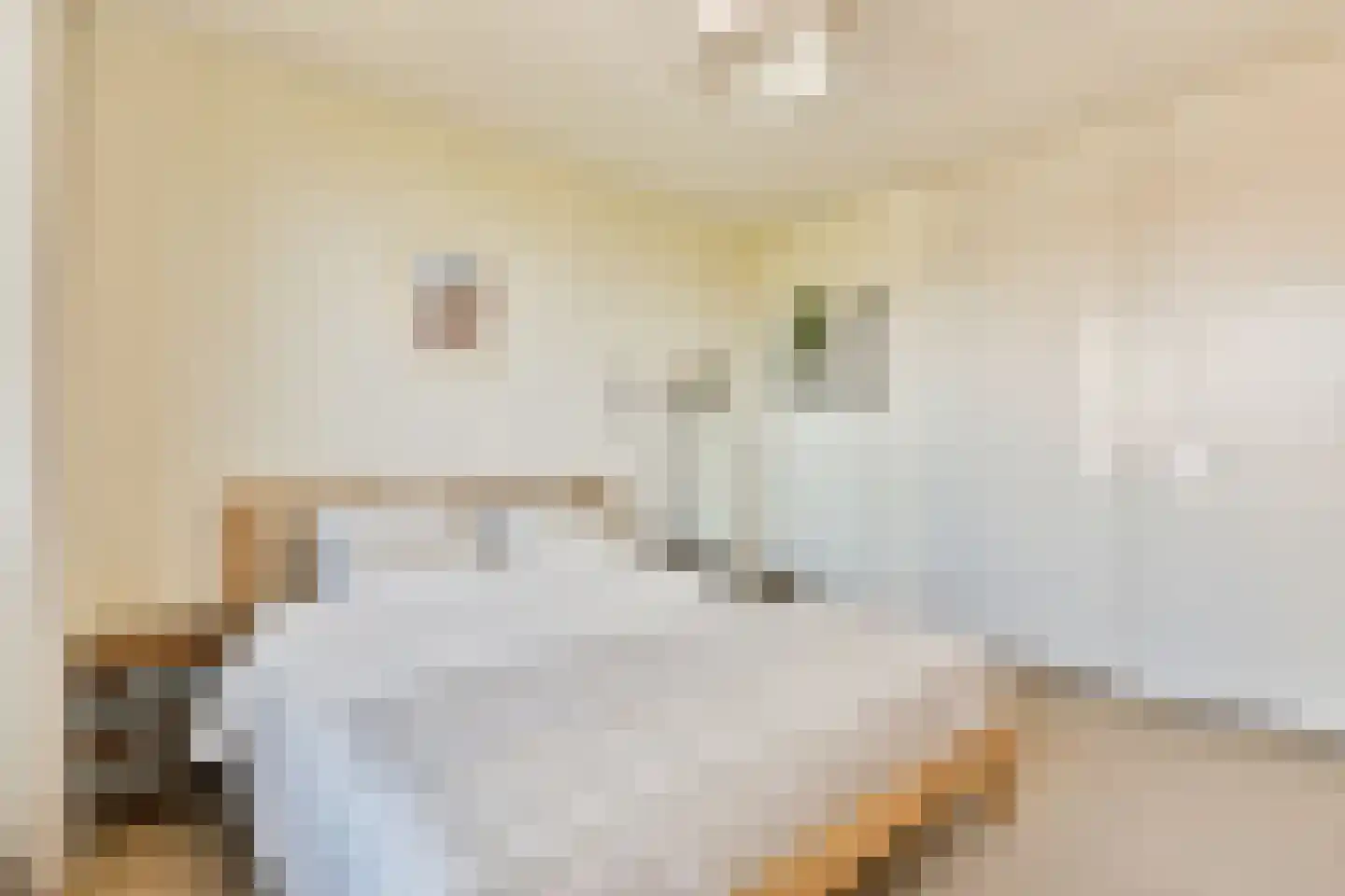 Minahassastraat 8 C Amsterdam thumbnail 18