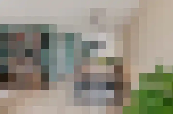 Minerva 10 Wijk bij Duurstede thumbnail 14