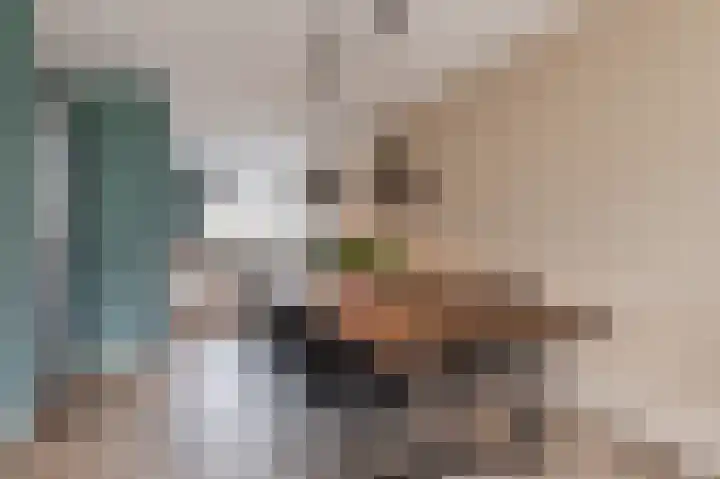 Minerva 10 Wijk bij Duurstede thumbnail 15