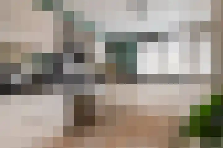 Minerva 10 Wijk bij Duurstede thumbnail 16