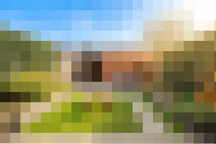 Minerva 10 Wijk bij Duurstede thumbnail 21