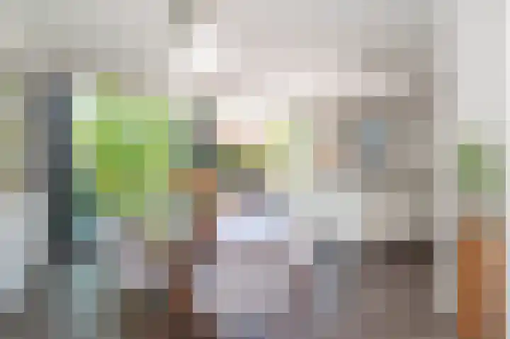 Minerva 21 Born thumbnail 12