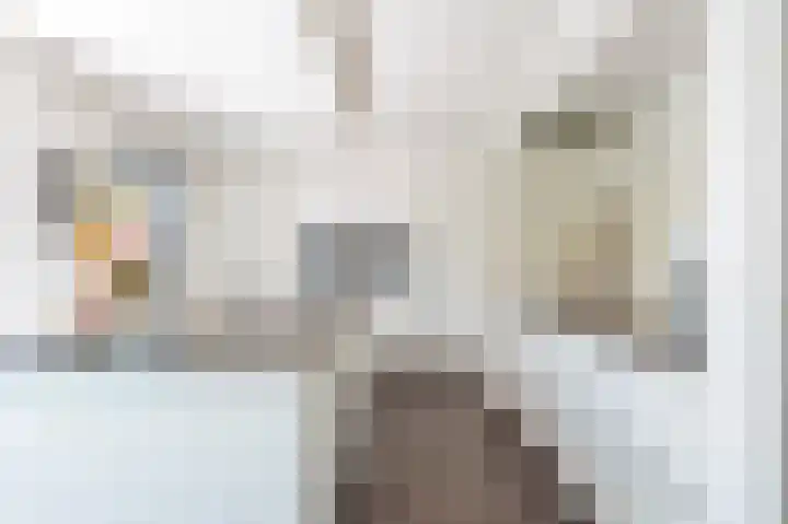 Minerva 21 Born thumbnail 13