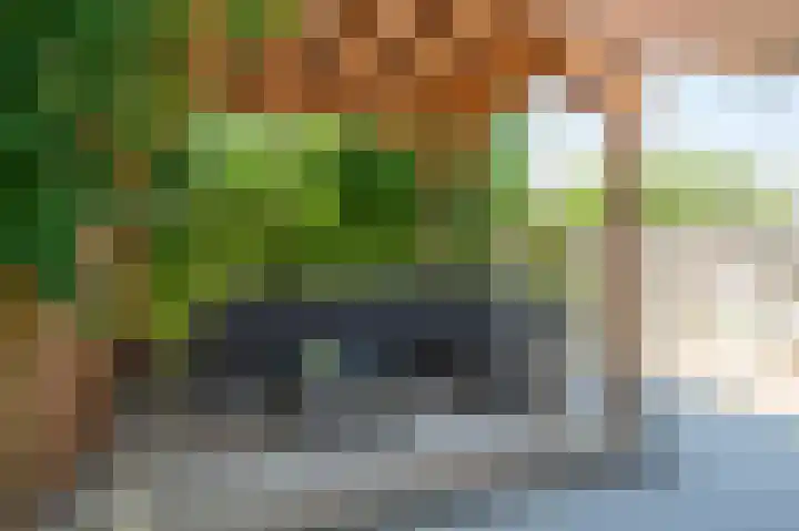 Minerva 21 Born thumbnail 25