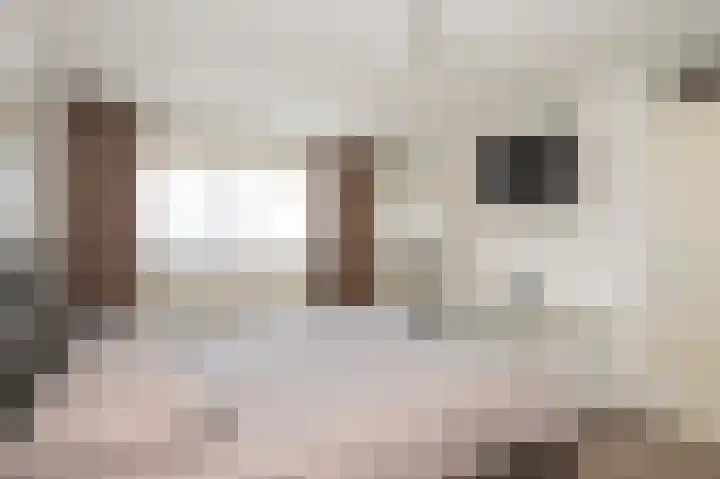 Minerva 21 Born thumbnail 37