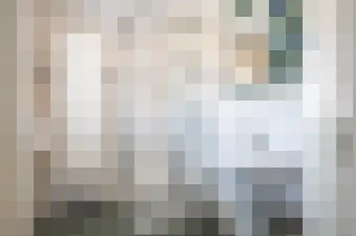 Minerva 21 Born thumbnail 40