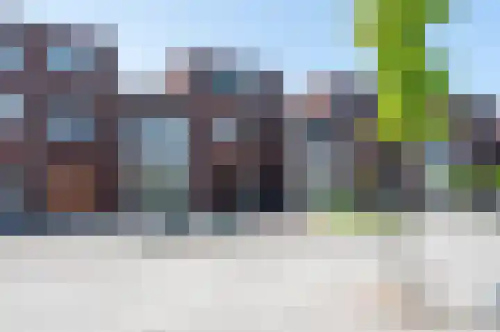 Minerva 21 Born thumbnail 41