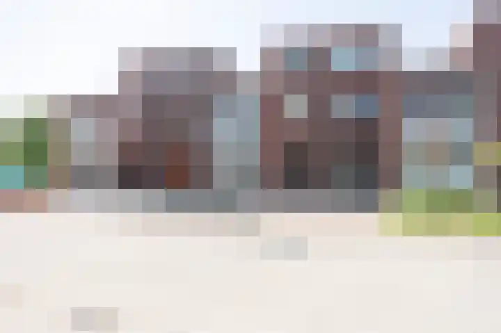 Minerva 21 Born thumbnail 46