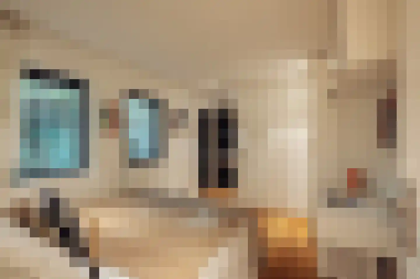 Minervalaan 109 Amsterdam thumbnail 25