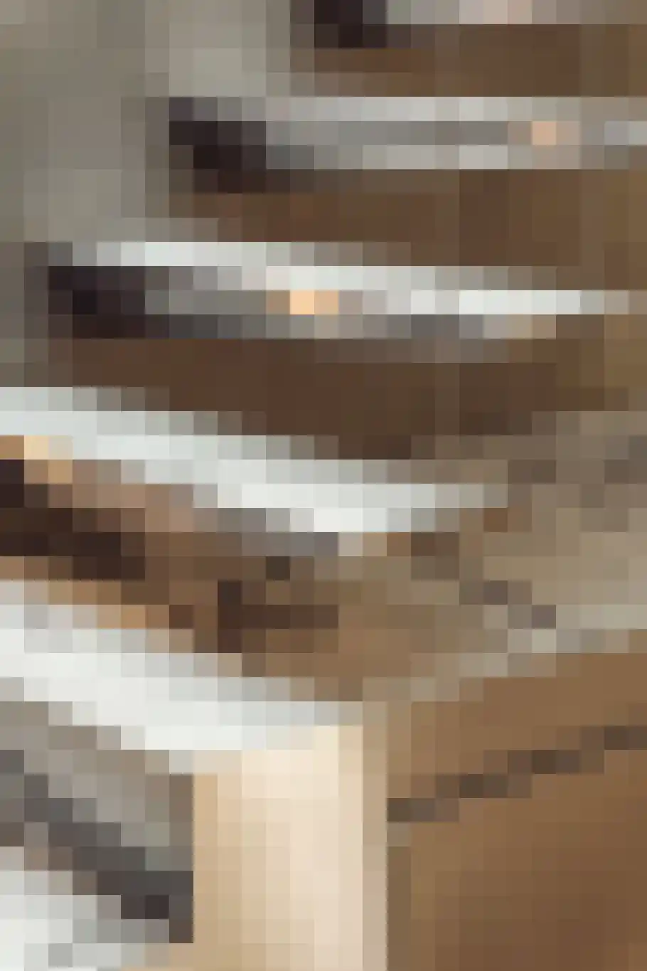Minervalaan 109 Amsterdam thumbnail 27