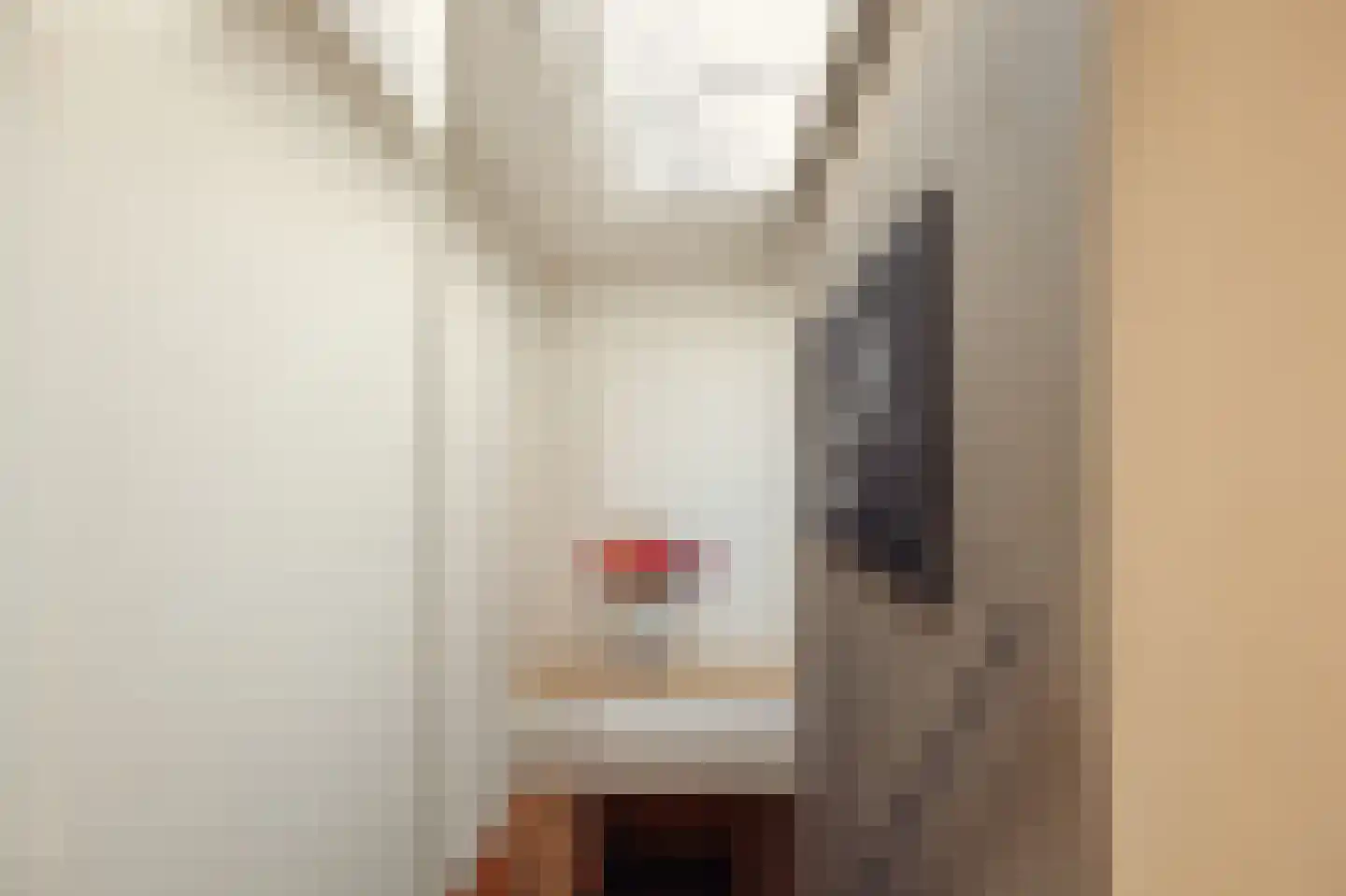 Minervalaan 109 Amsterdam thumbnail 29