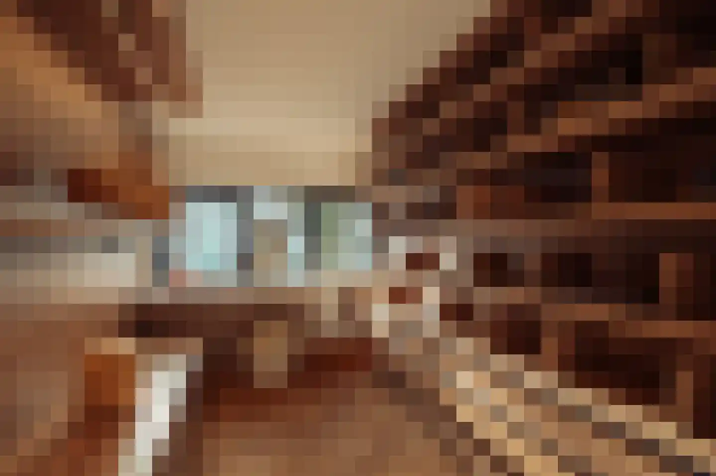 Minervalaan 109 Amsterdam thumbnail 32