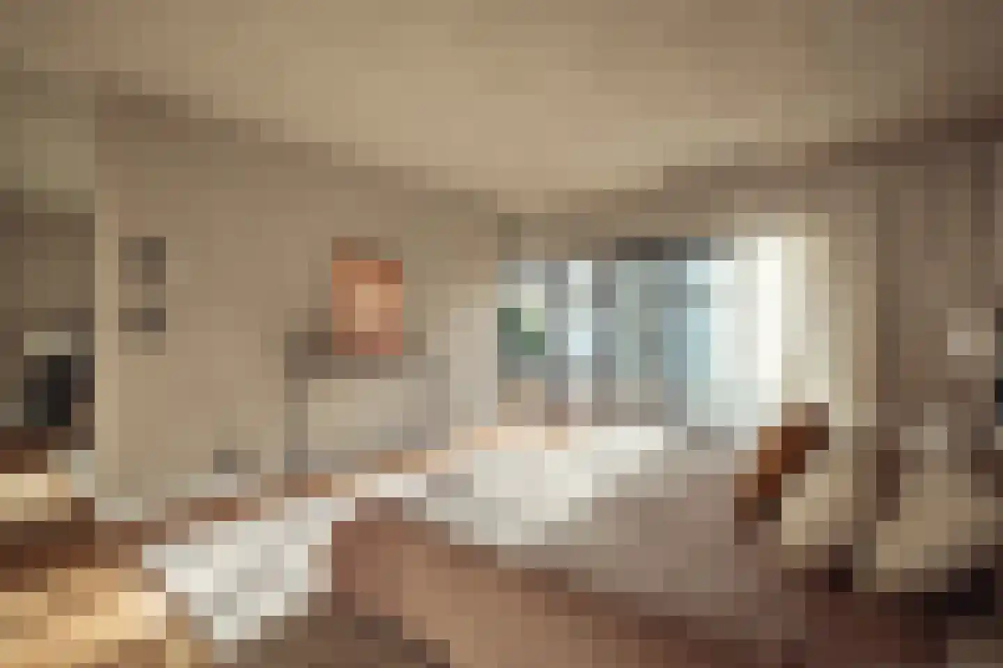 Minervalaan 109 Amsterdam thumbnail 35