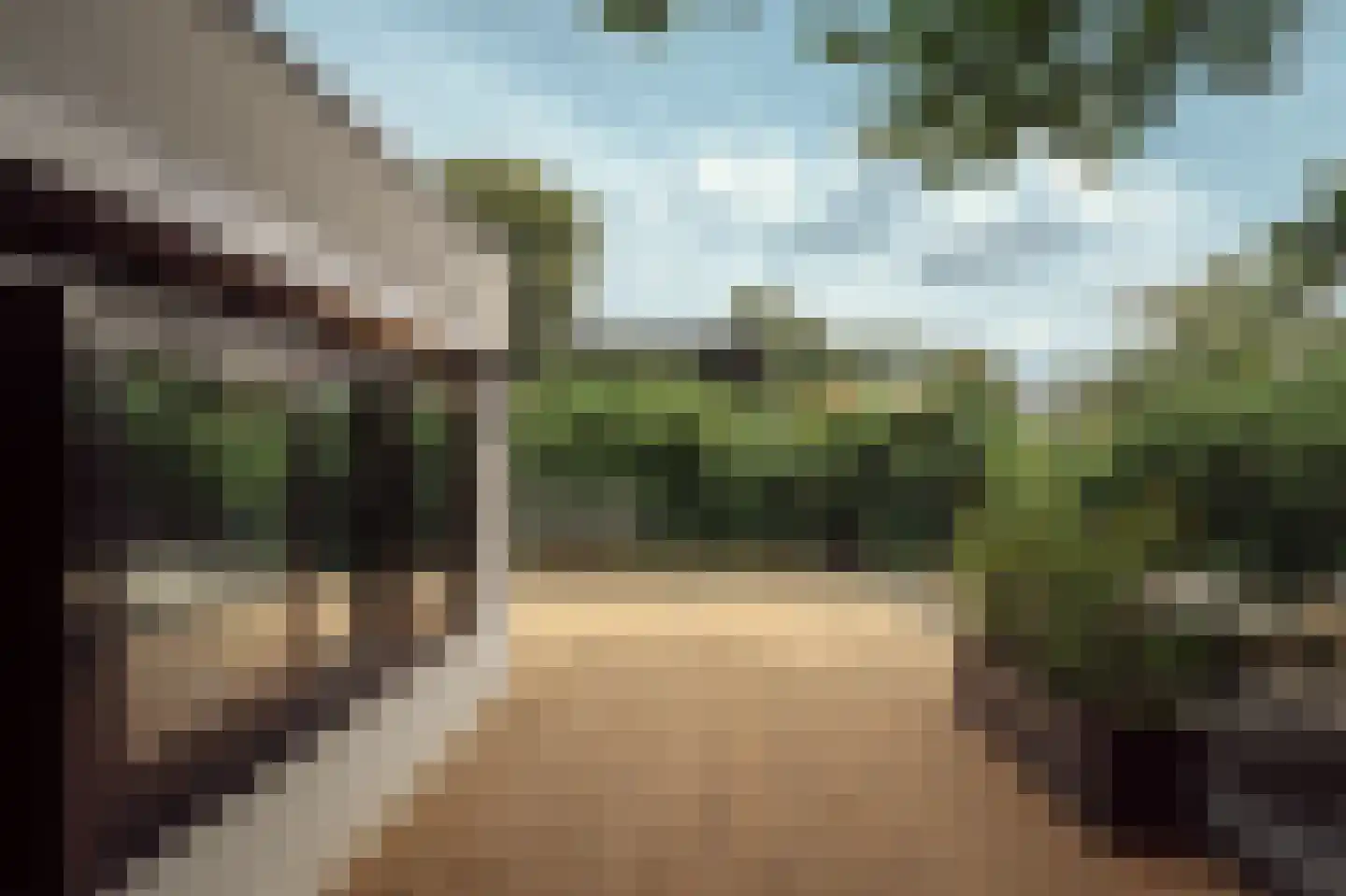 Minervalaan 109 Amsterdam thumbnail 36
