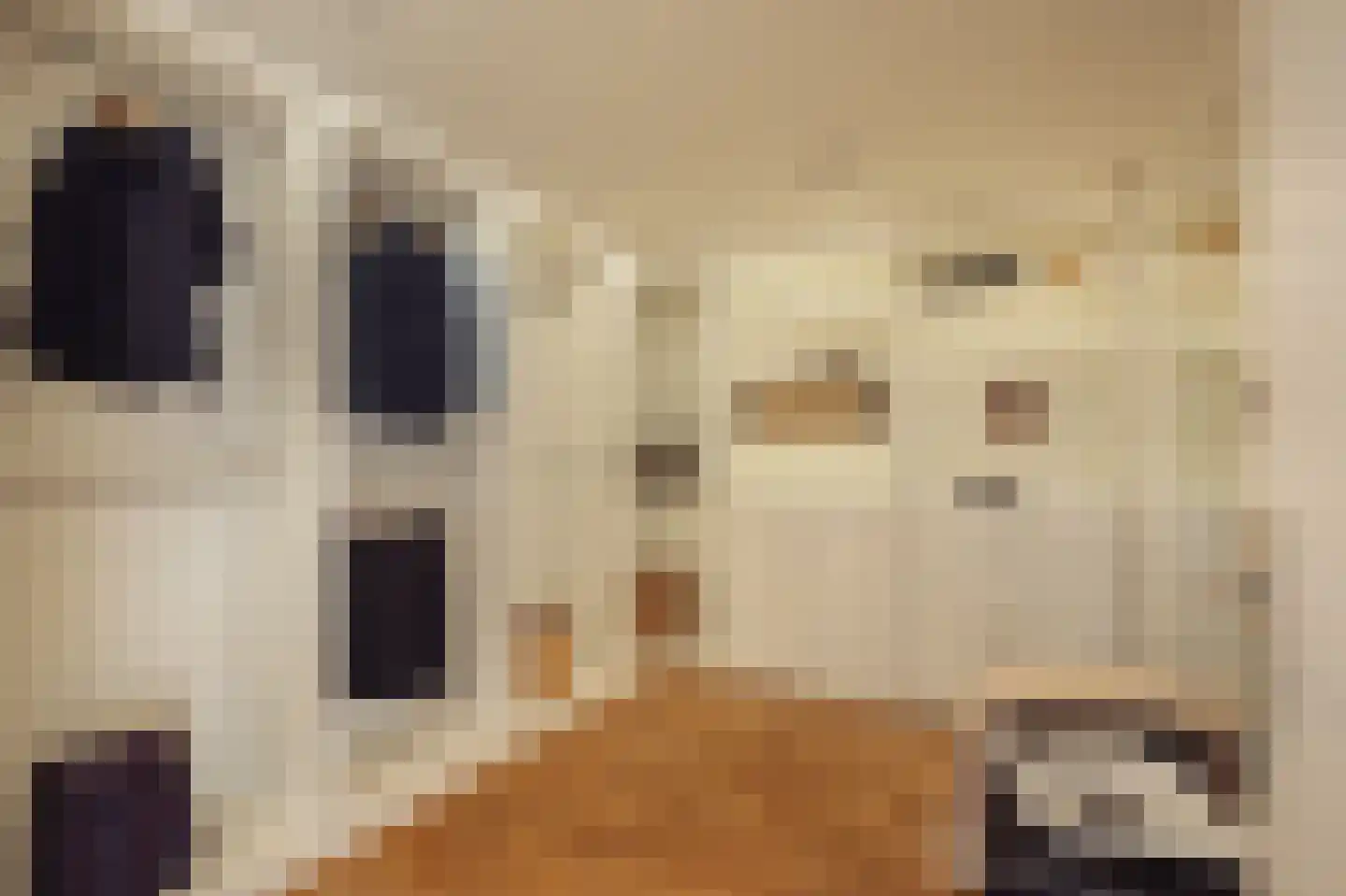 Minervalaan 109 Amsterdam thumbnail 37