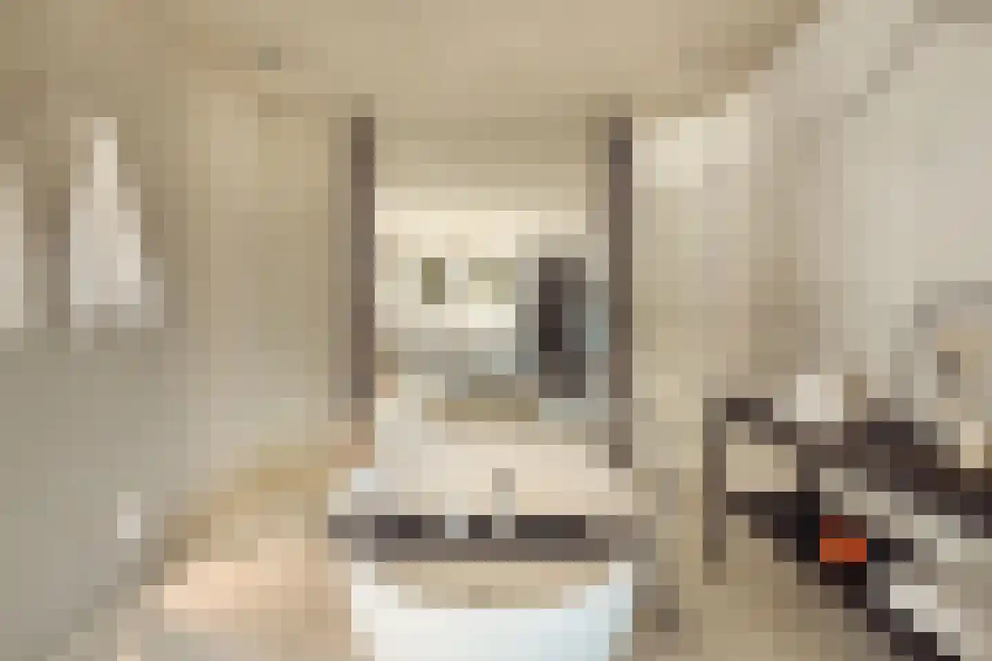 Minervalaan 109 Amsterdam thumbnail 4