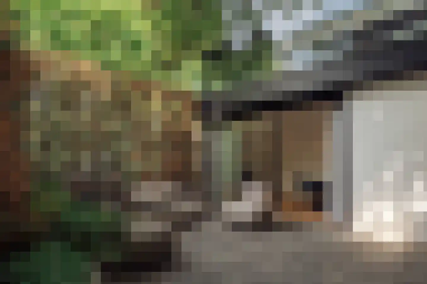 Minervalaan 109 Amsterdam thumbnail 55