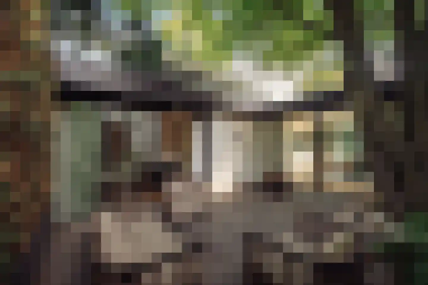 Minervalaan 109 Amsterdam thumbnail 56