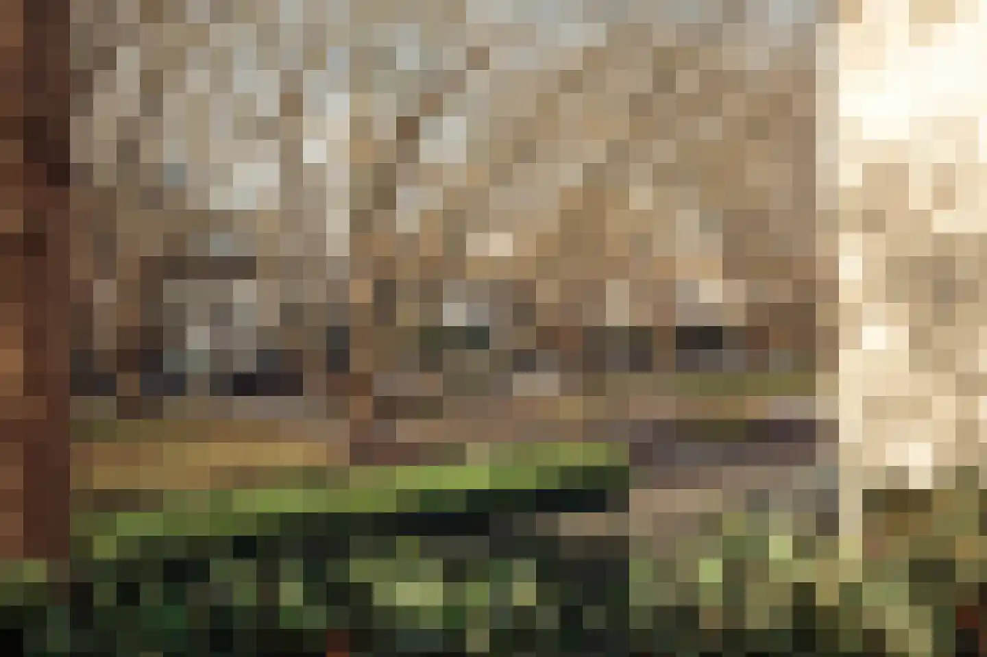 Minervalaan 109 Amsterdam thumbnail 57