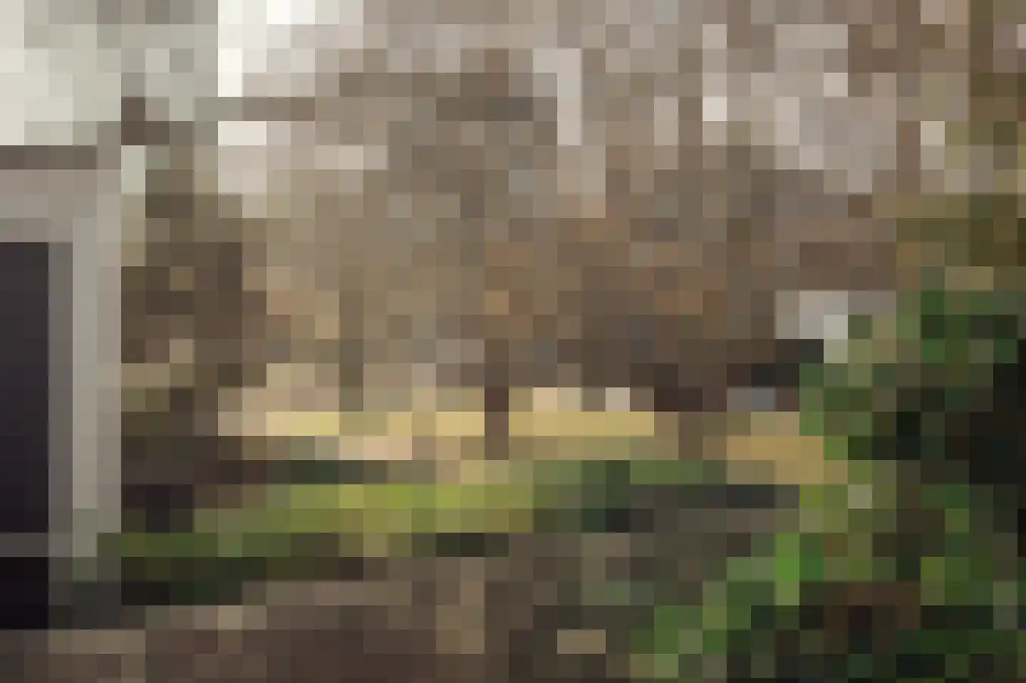 Minervalaan 109 Amsterdam thumbnail 58