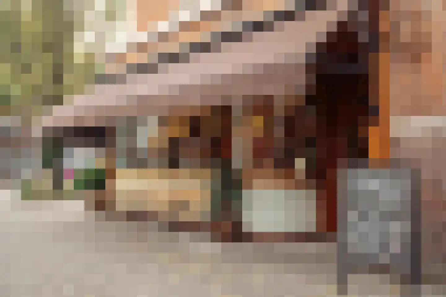 Minervalaan 109 Amsterdam thumbnail 59